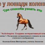 МК "Создаем интерактивный плакат". Занятие 1. Выделение части изображения. "Где у лошади коленка?"
